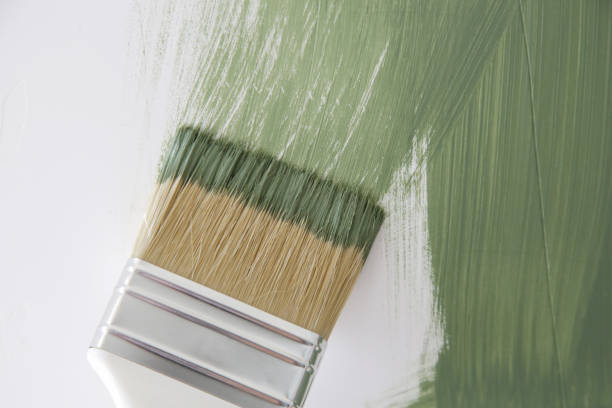 Drywall & Painting Services